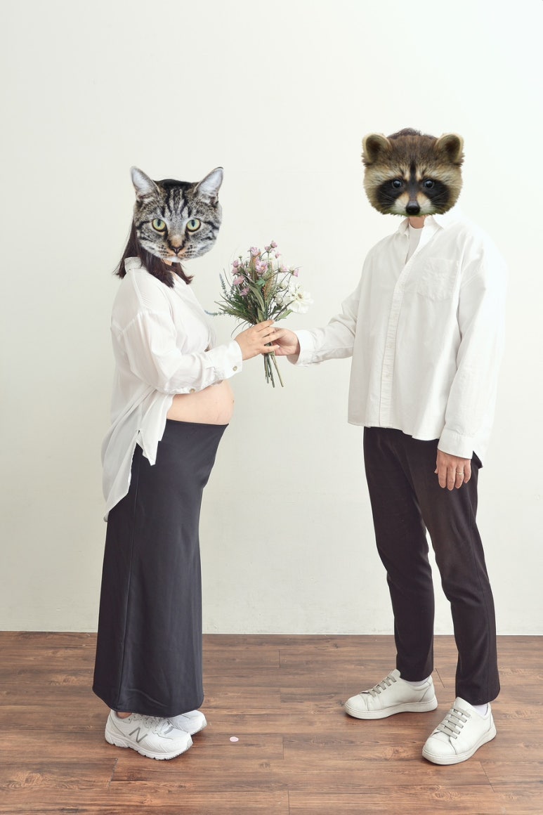 온기사진관 이미지