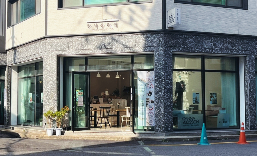 칸나블러썸 이미지