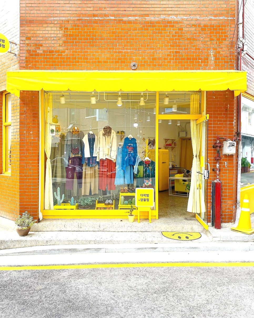 성신니트 이미지