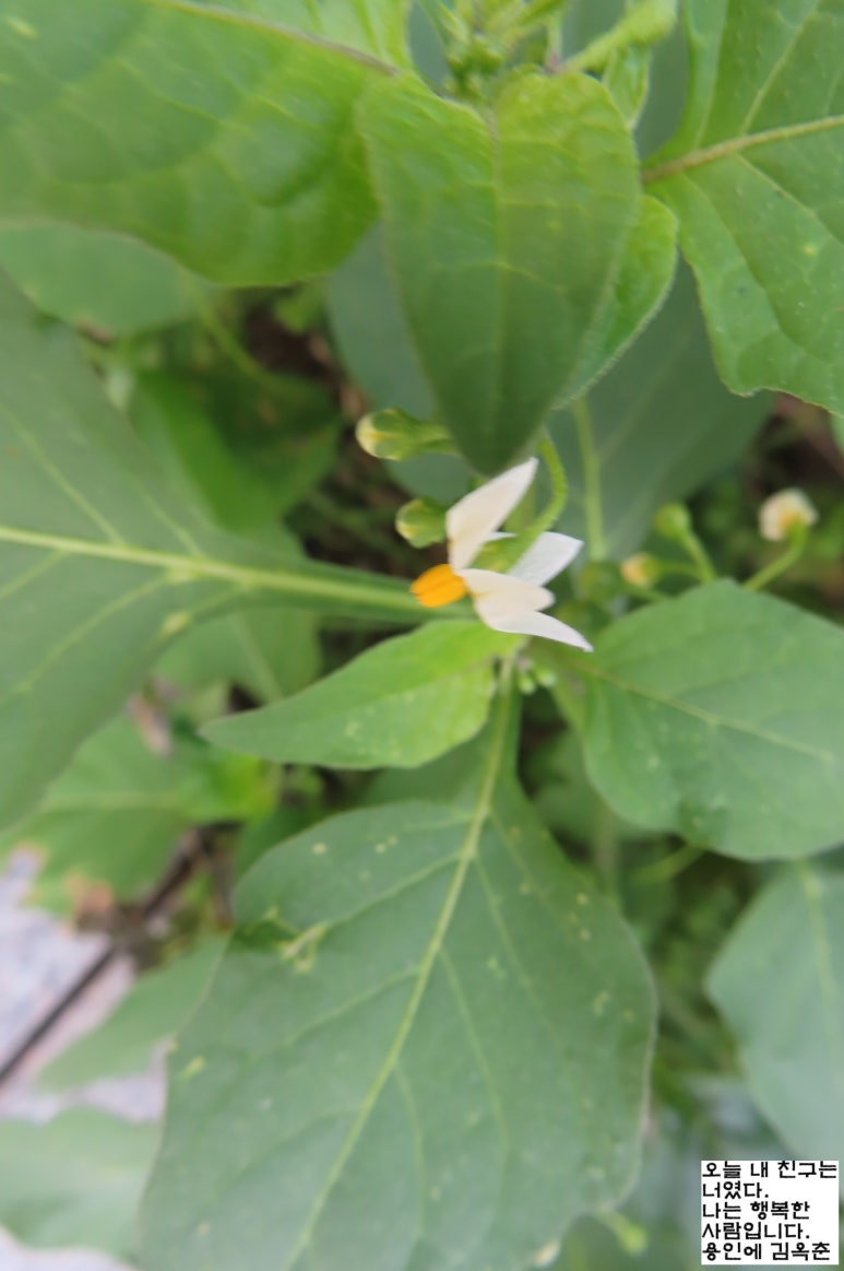 (주)이슬환경 이미지