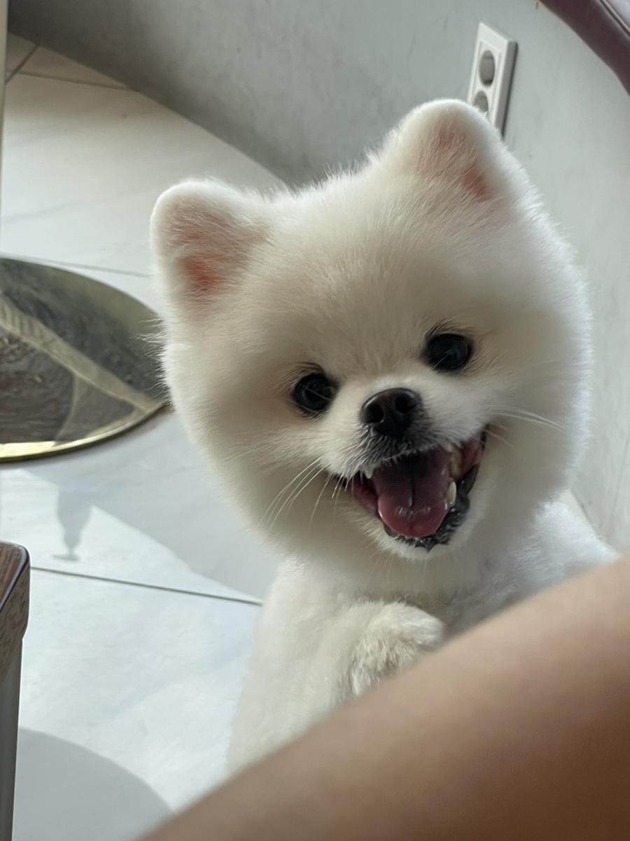 호반카페분식 이미지