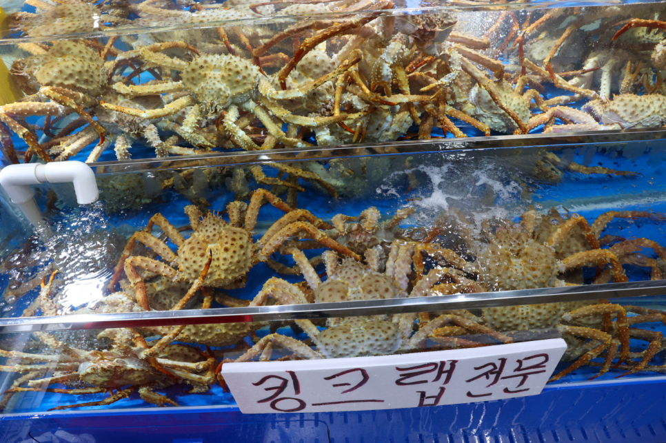 청나수산 이미지