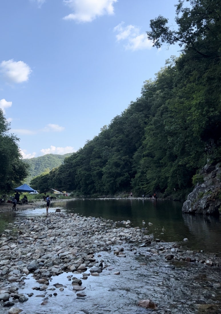 사발소캠핑장 이미지