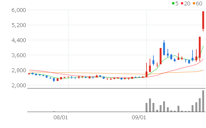비즈인터내셔날 코퍼레이션 이미지