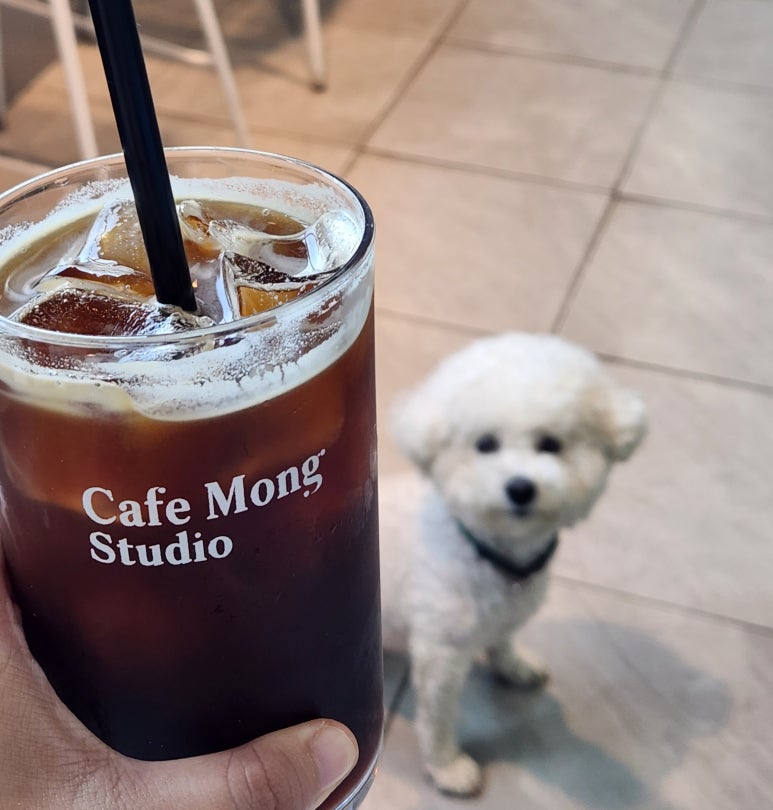 몽카페(Mong cafe) 이미지