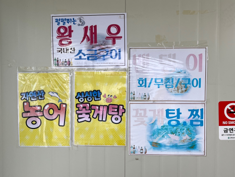 수광호 이미지
