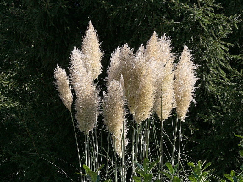 복광조경 이미지