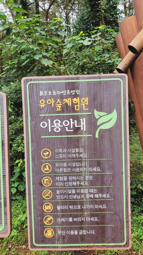 붉은오름자연휴양림 유아숲체험원 이미지