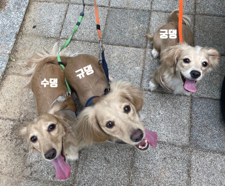 피트니스209 이미지