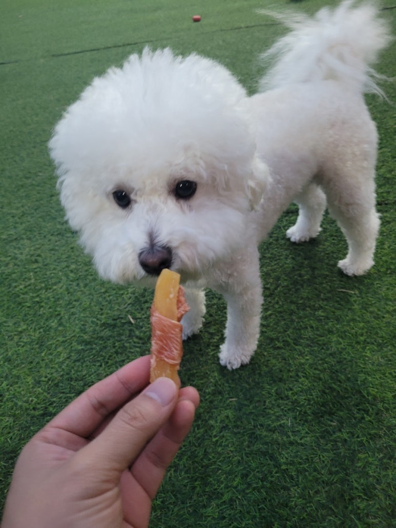카페드숑 이미지