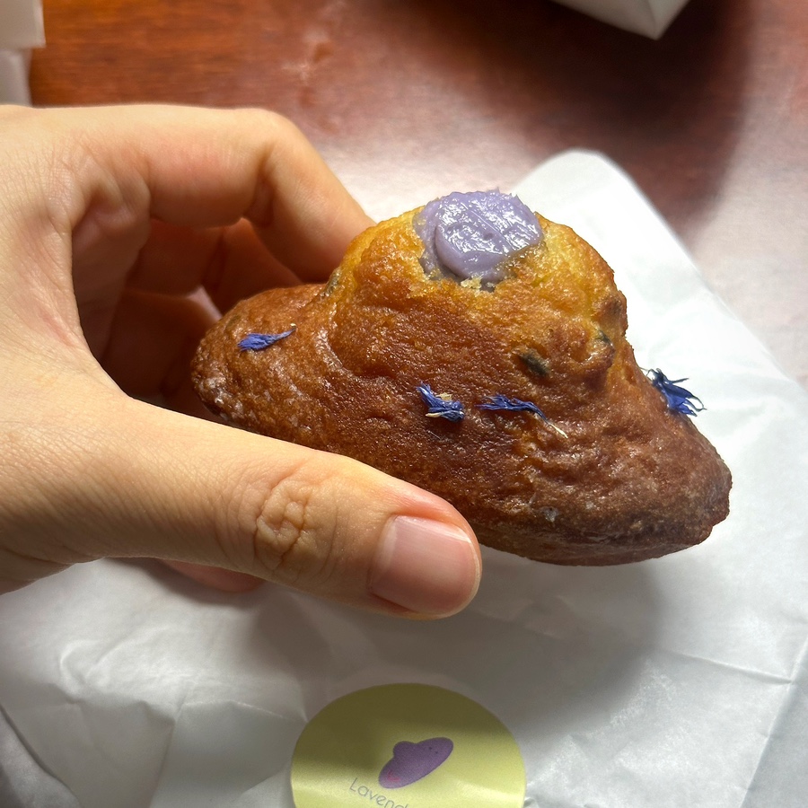 조세핀 사진 5