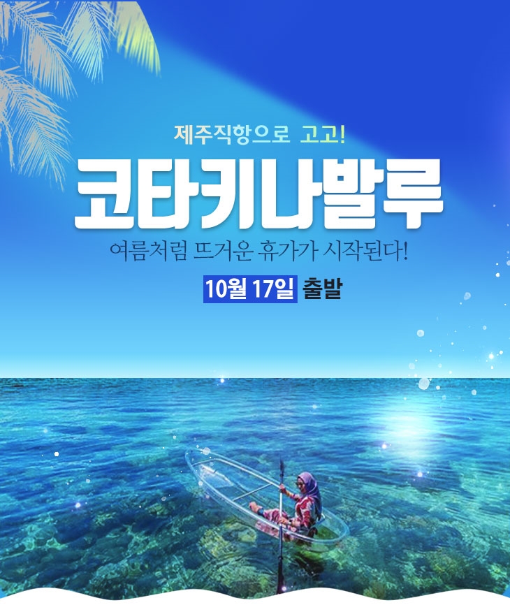 코타제주 이미지