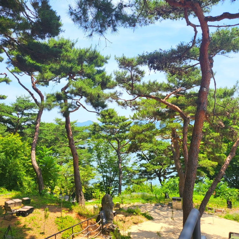 더대청호 이미지