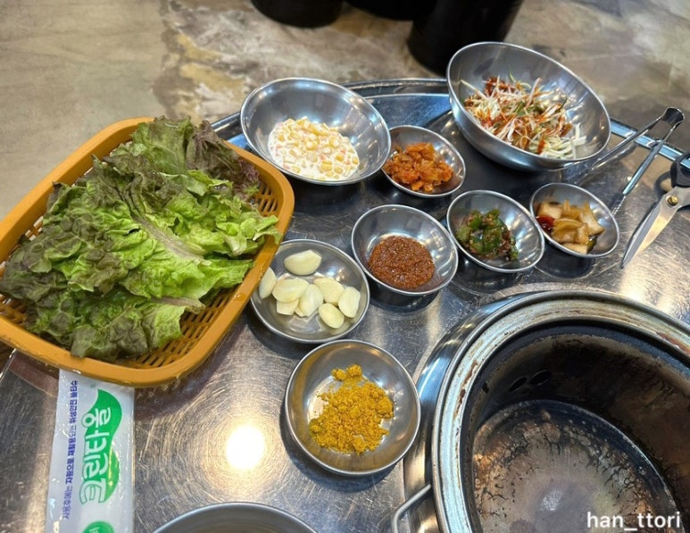 돗배갈매기 이미지