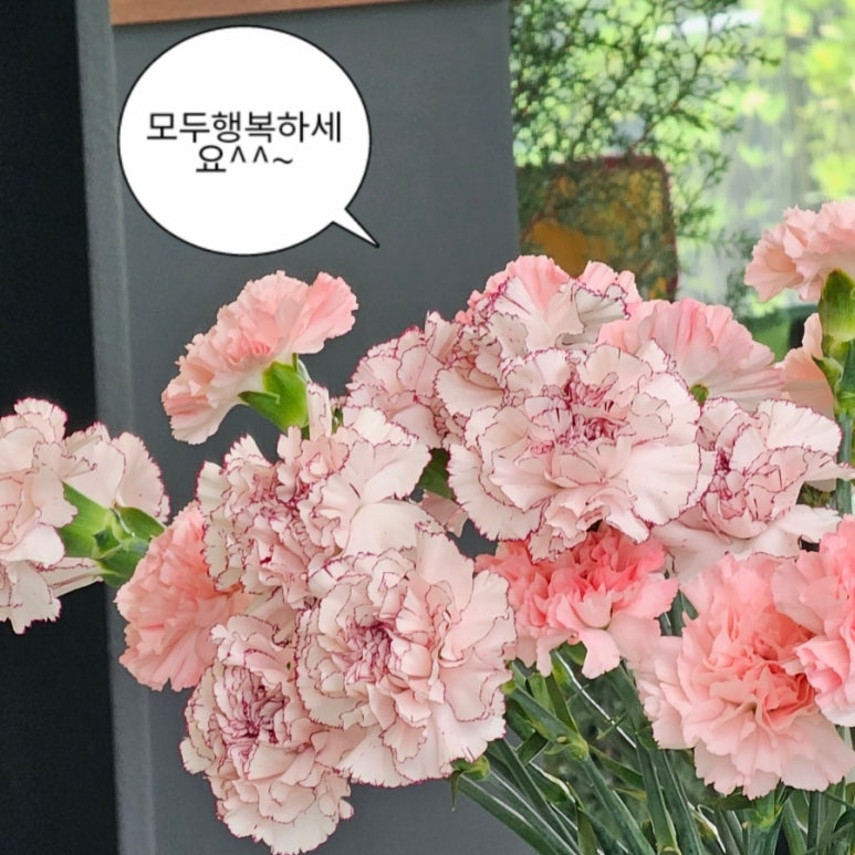 026스튜디오 이미지