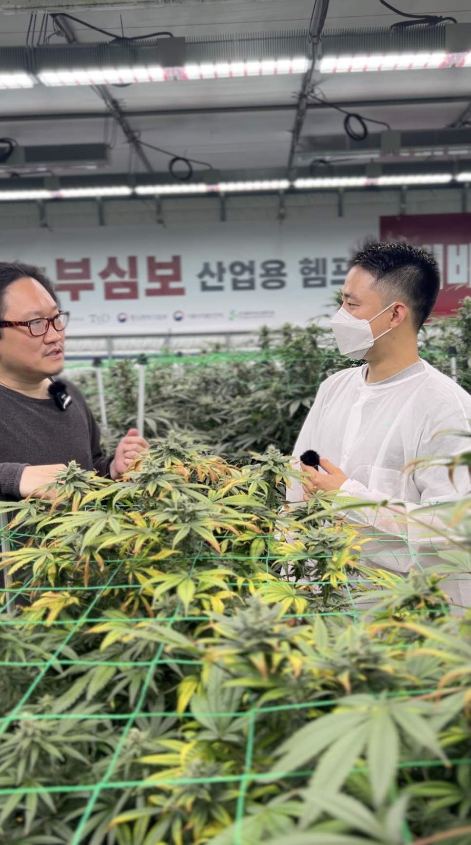 농부심보 이미지