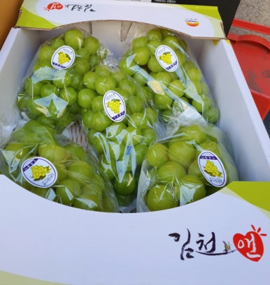 싱싱야채달달과일 이미지