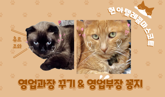 현아텔레콤 이미지