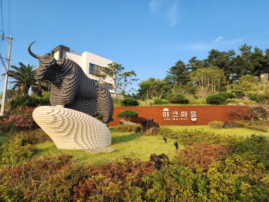 블랙야크비자트제주 이미지
