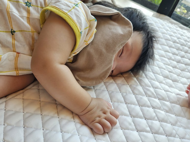 풀그리다 이미지