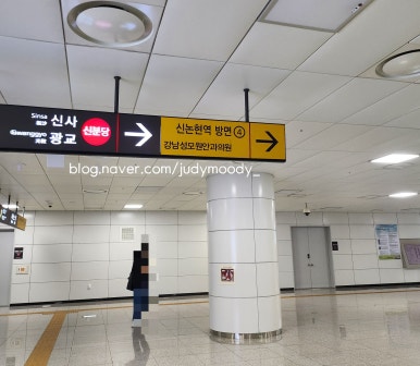 꼰띠고플로라 이미지