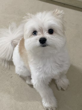 히트맛집 이미지