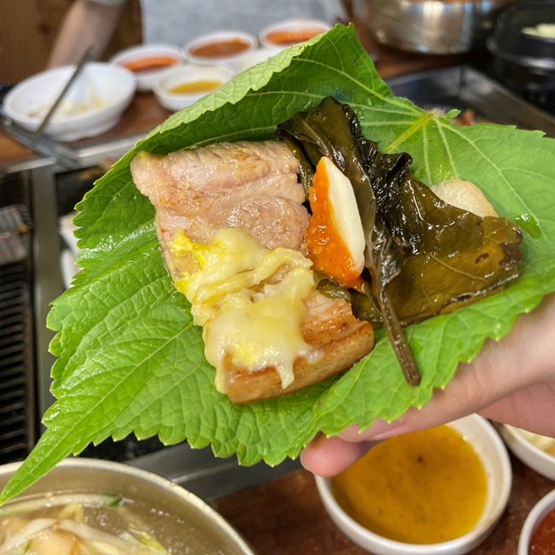 탐라제주도야지 이미지