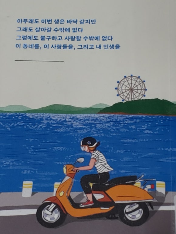 백조수선 이미지