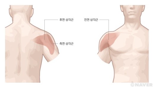 더블에스플라이 이미지