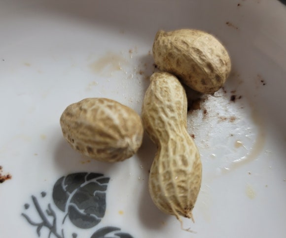 신가네정육식당 이미지