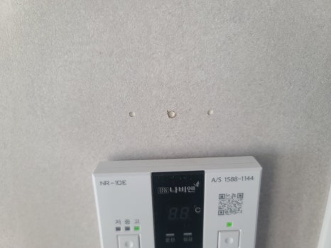 디자인보라 이미지