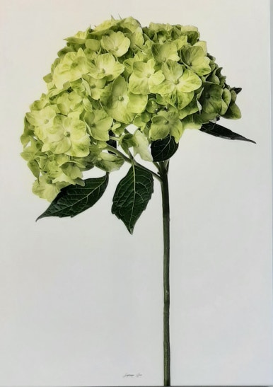 굿모닝샐리 이미지