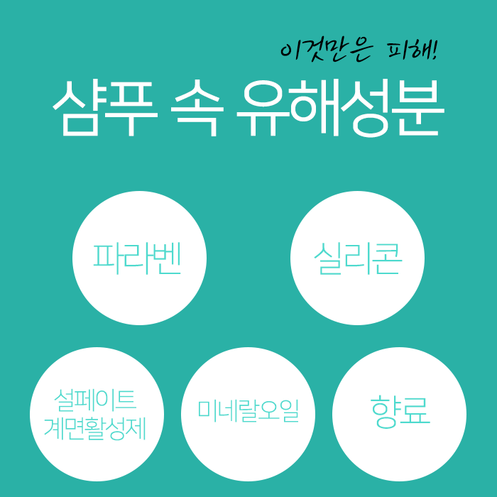 머리해,봄 이미지