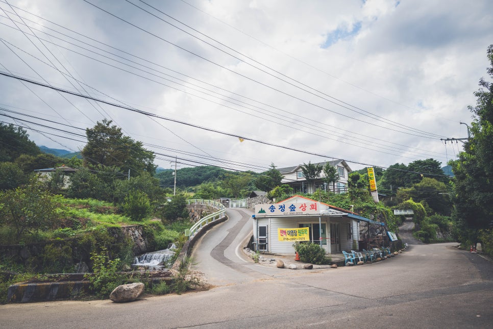 송정상회 이미지