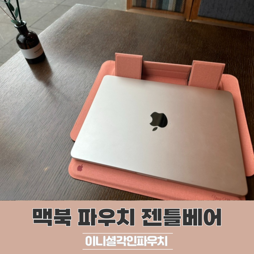 젠틀베어 이미지