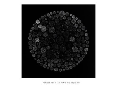미술연구소프레플로 이미지