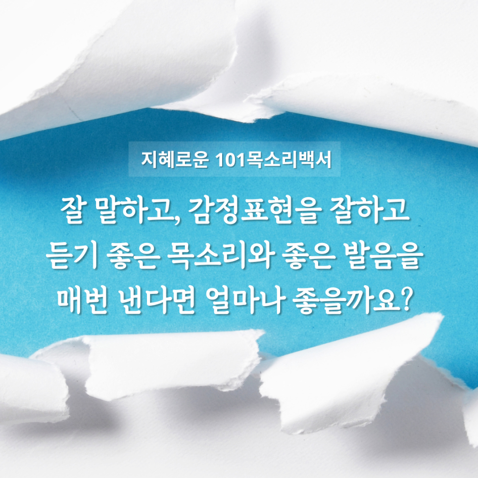 기수백서 이미지