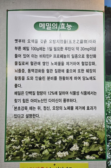 화곡강산면옥 이미지