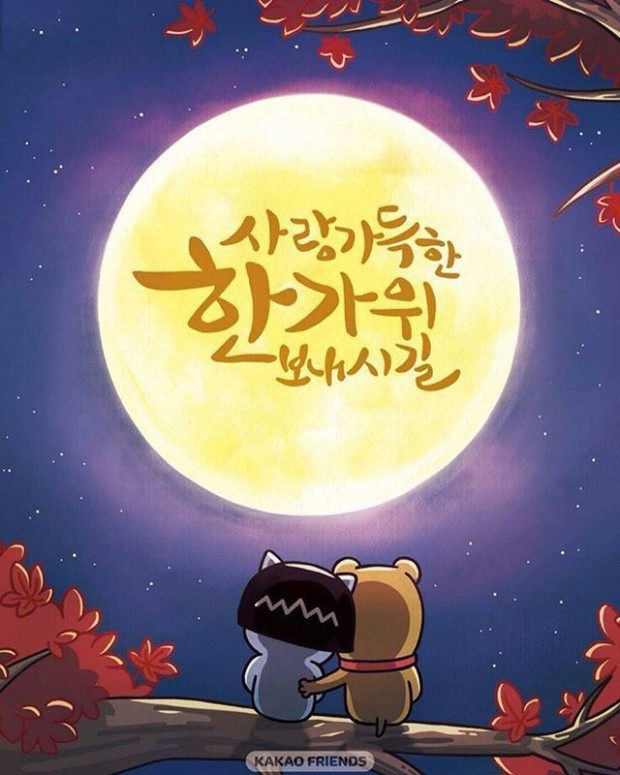앨리스파파 이미지