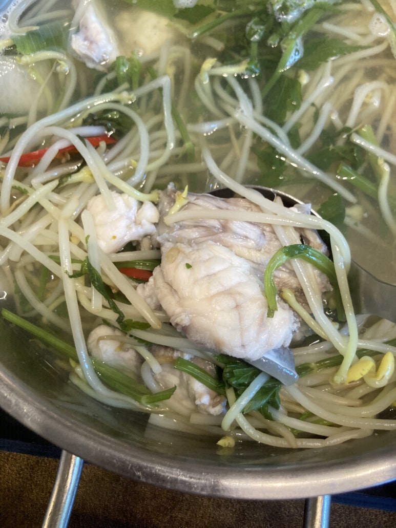 청록담 복어 이미지