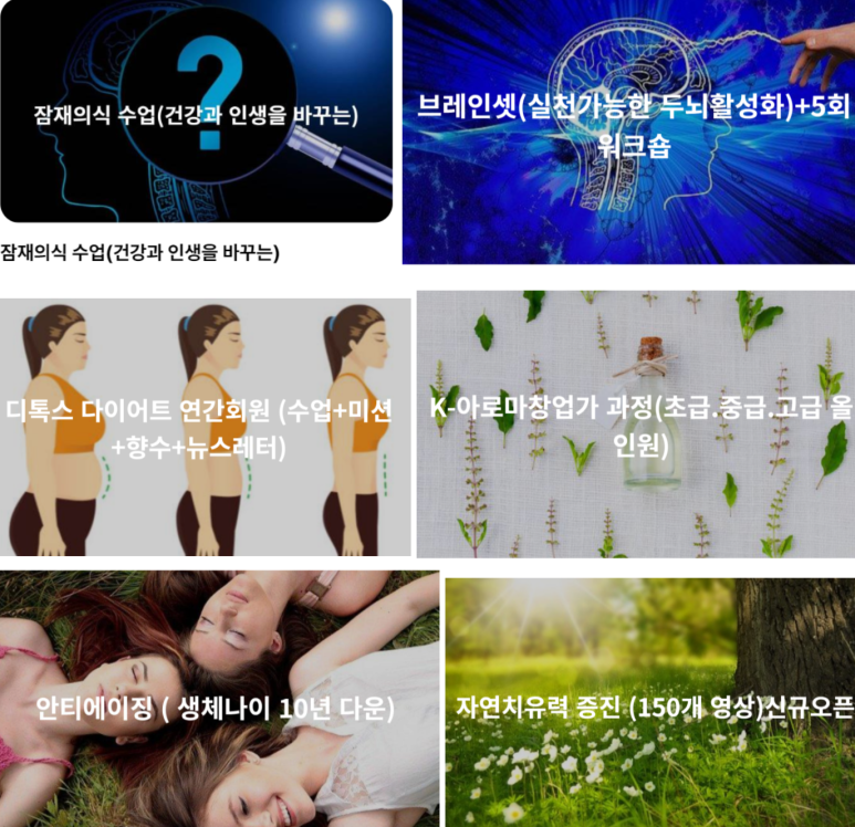 영스랩 안티에이징 연구소 이미지