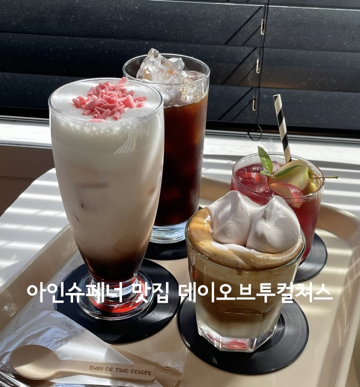 데이오브투컬러스 이미지