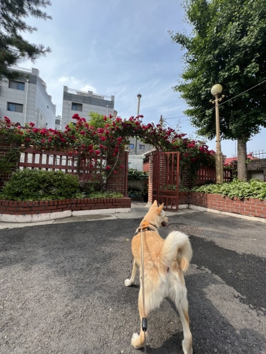 원덕다방 이미지