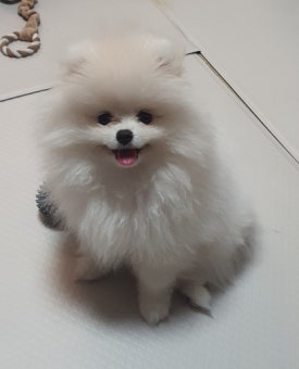 에이뷰티스튜디오 이미지