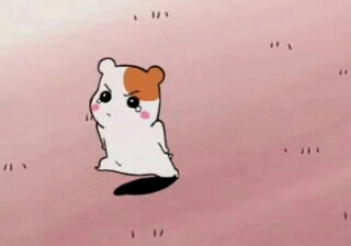 하이로우 이미지