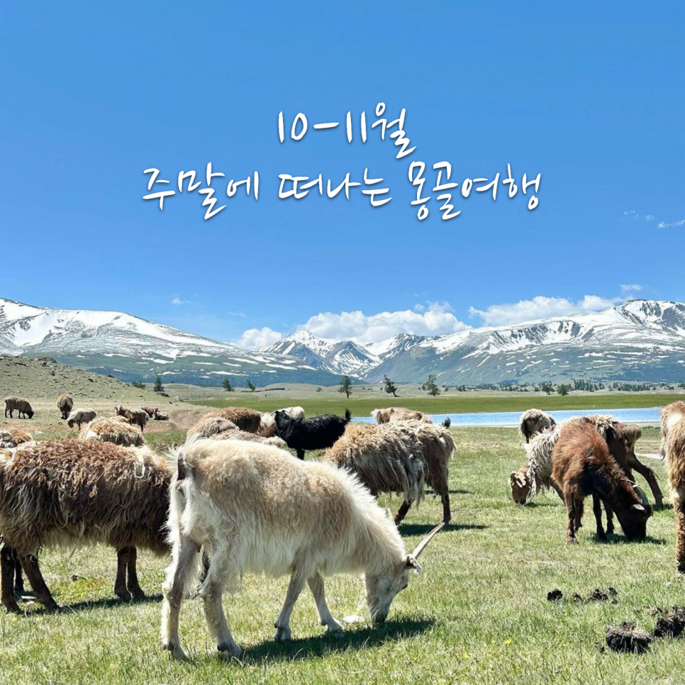 수현항공여행사 이미지