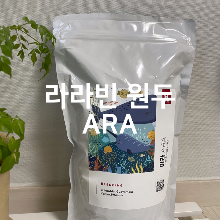 라라빈 이미지