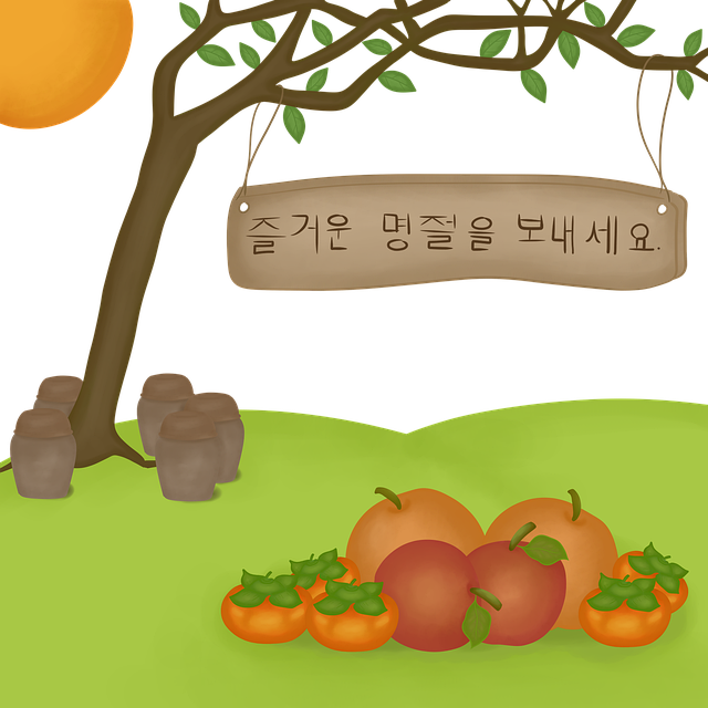 인핸스어빌리티랩 이미지