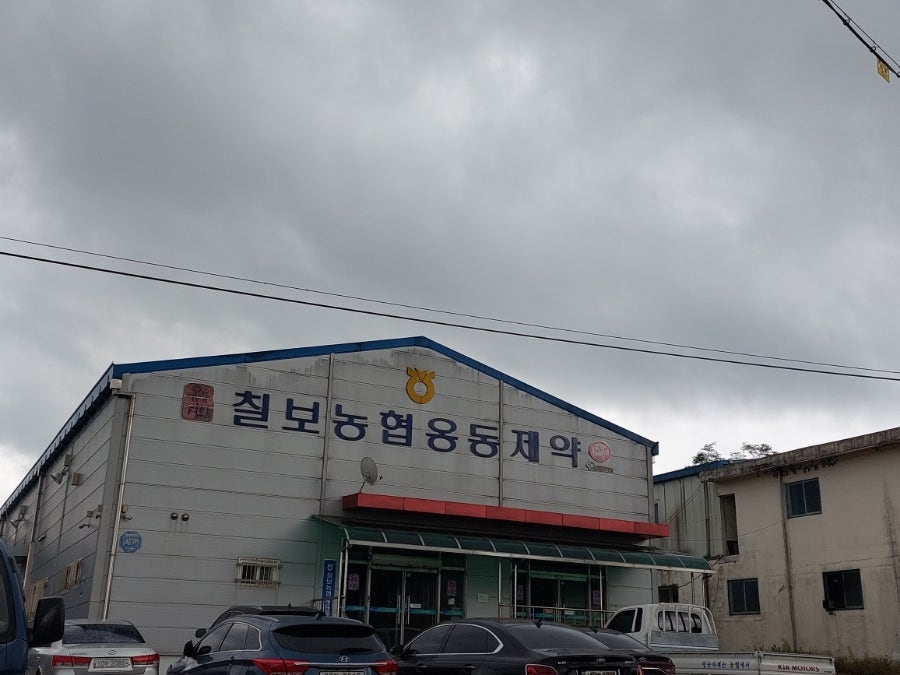 칠보농협옹동제약 이미지