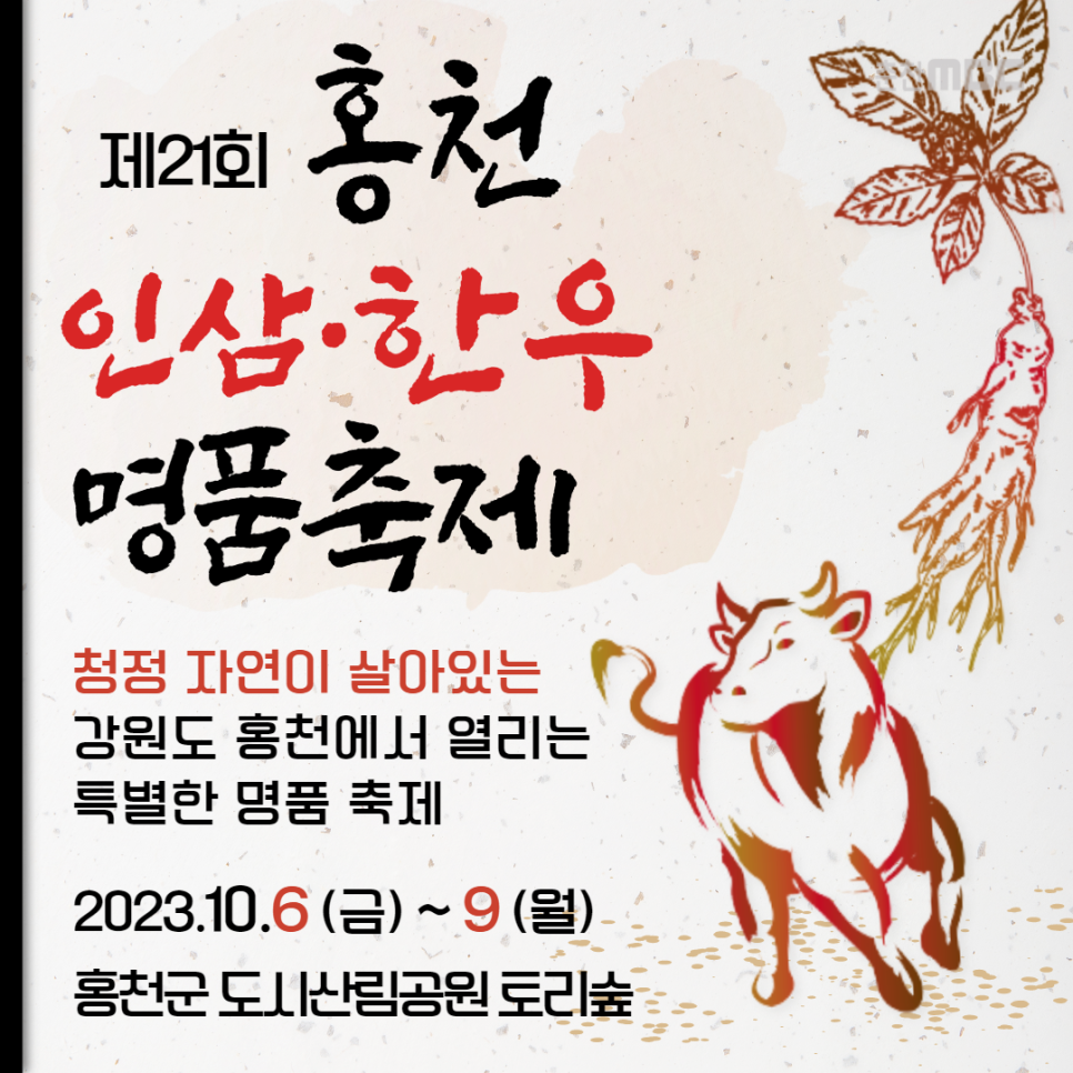 장터청정한우 이미지